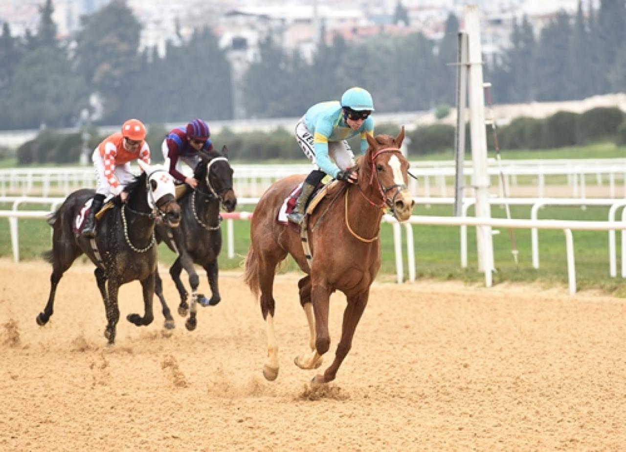 Aktan Bayrak Koşusu'nda kazanan Diomedea oldu