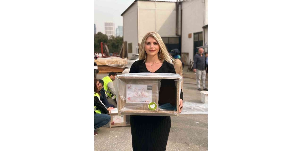 MALTEPE’NİN PATİLİ DOSTLARINA SICAK YUVA