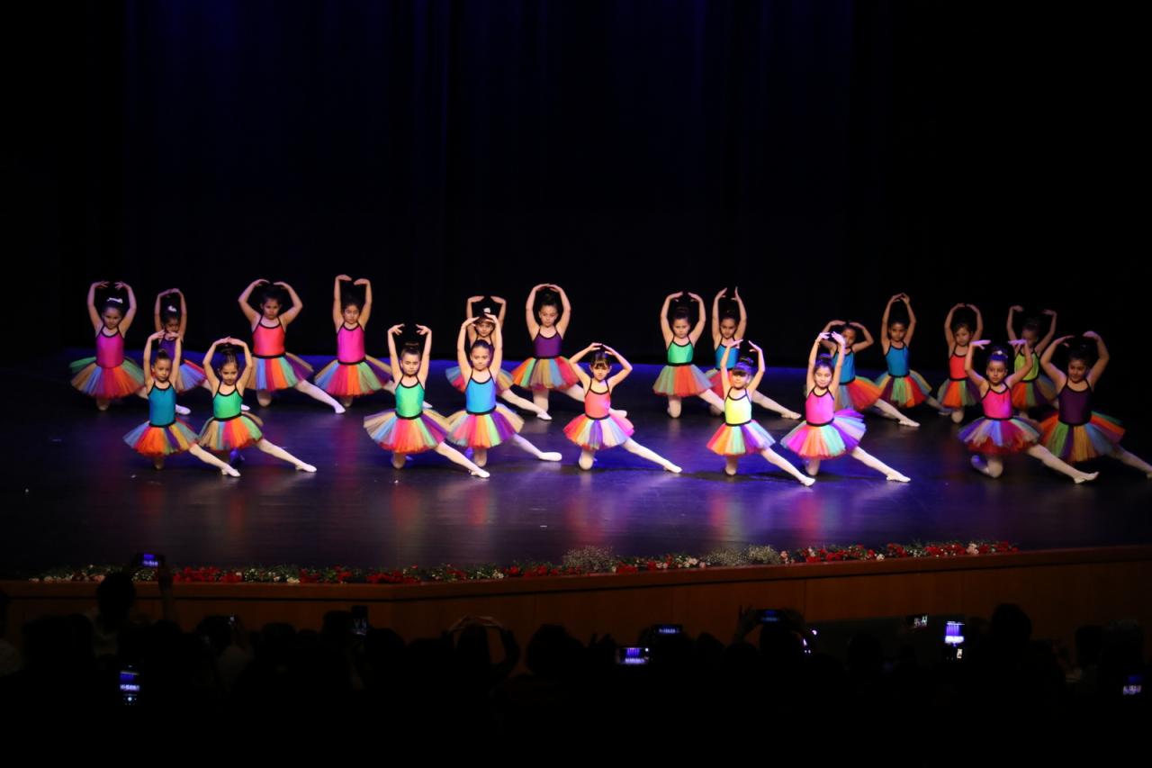 ATAŞEHİR BELEDİYESİ'NDEN YIL SONU GÖSTERİLERİ