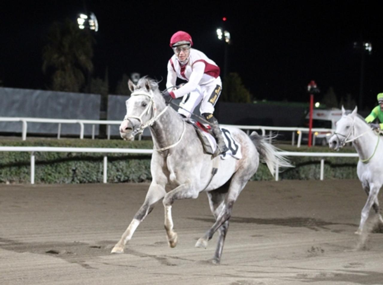 Şanlıurfa Vali Koşusu’nda zafere uzanan Prestij oldu