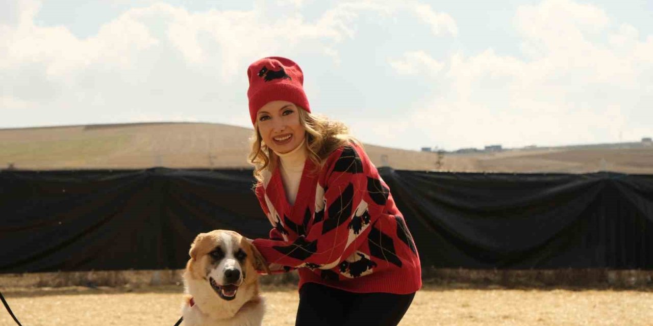 SOKAK KÖPEKLERİ KANSER HASTALARININ UMUDUNU ARTTIRIYOR