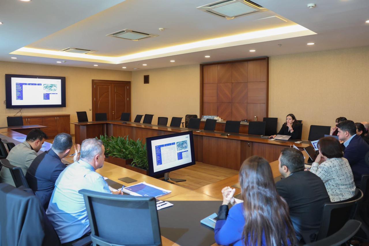 SOKAK HAYVANLARI İÇİN DEV ADIM: ATAŞEHİR, İBB VE MALTEPE BELEDİYELERİ “CAN DOSTLARIMIZ” İÇİN BİR ARAYA GELDİ