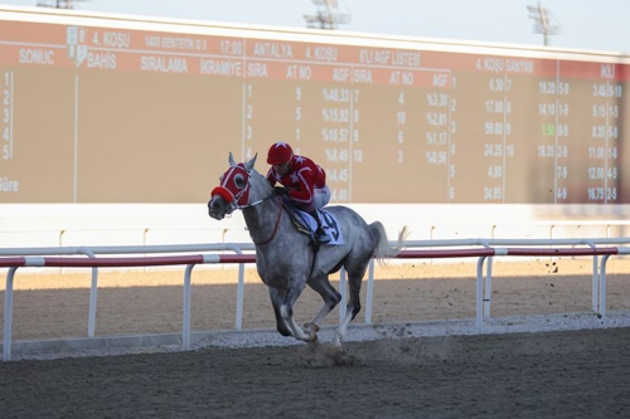 Antalya Vali Koşusu'nu Şafak Zamanı kazandı