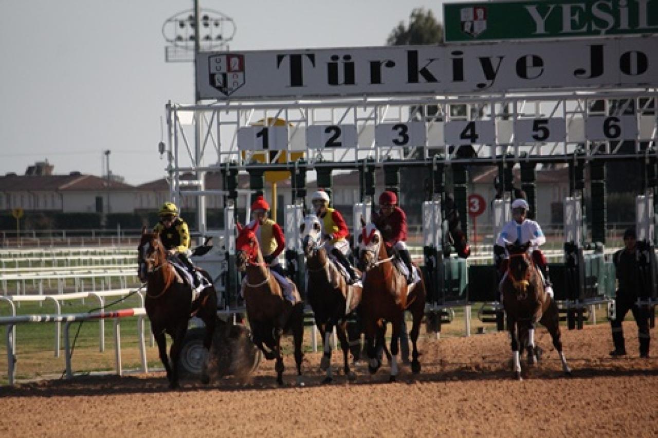 Adana'da düzenlenen G2 Koşuyu Rebellious Boy kazandı