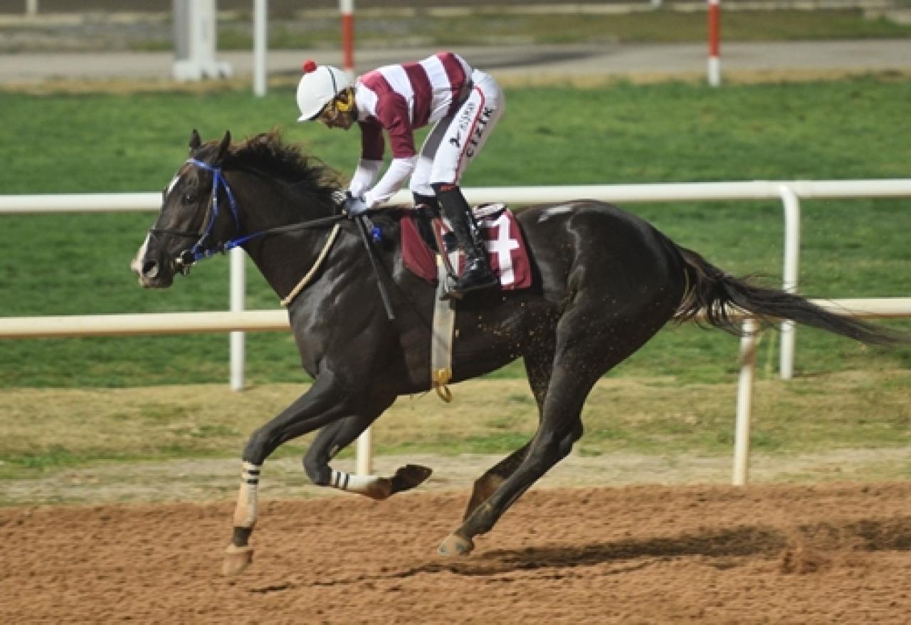 Özgecan Aslan - Kadına Şiddete Hayır Koşusu’nu Baybars Han kazandı