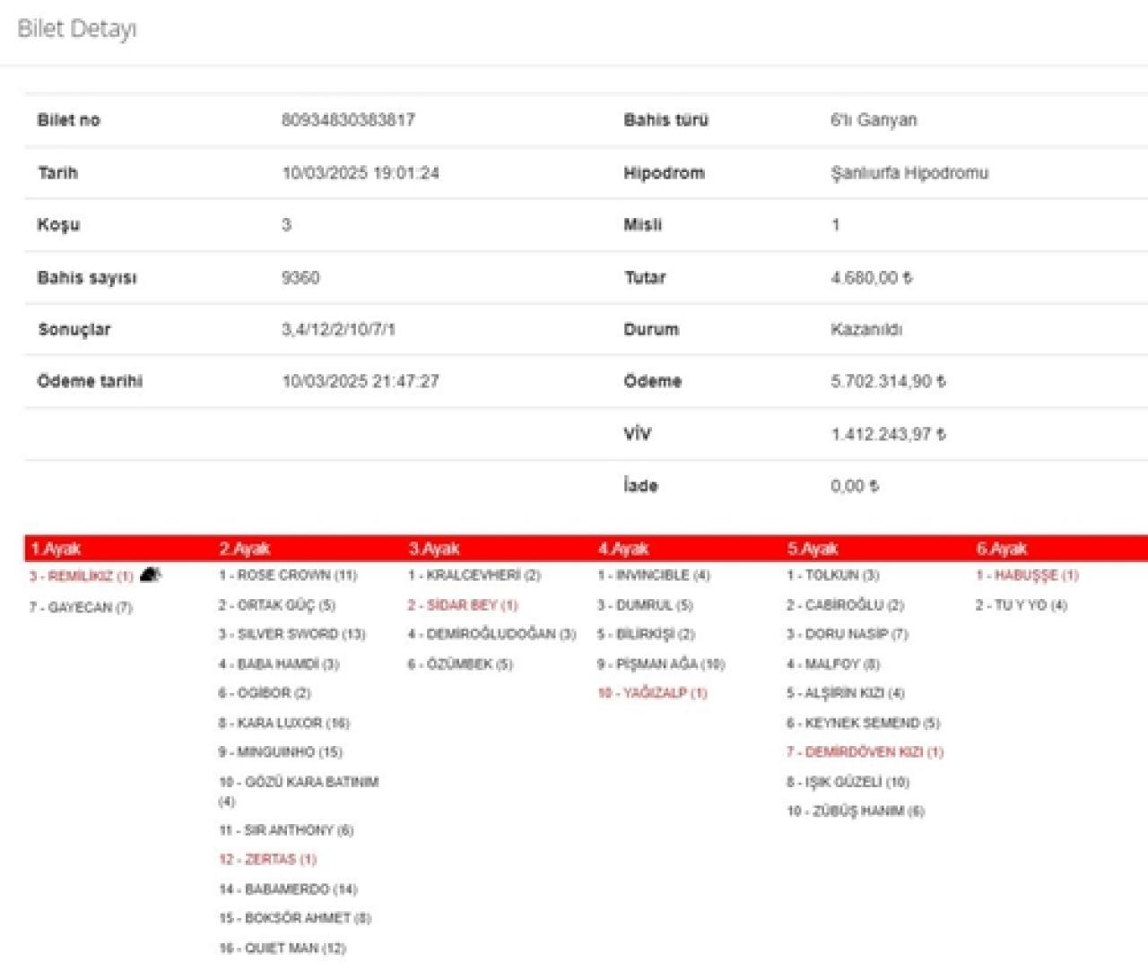 Şanlıurfa’da 6’lı Ganyan'ı 2 kişi bildi