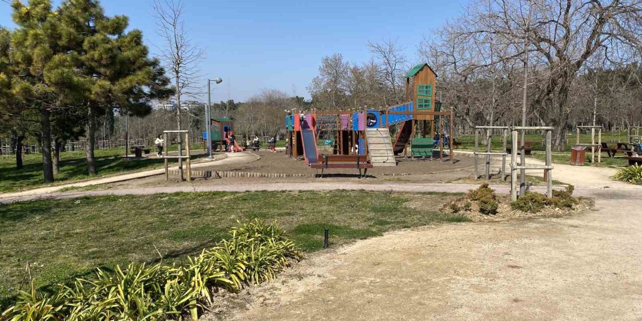 FLORYA ATATÜRK ORMANI’NDA BAŞI BOŞ KÖPEKLER VATANDAŞLARI TEDİRGİN EDİYOR