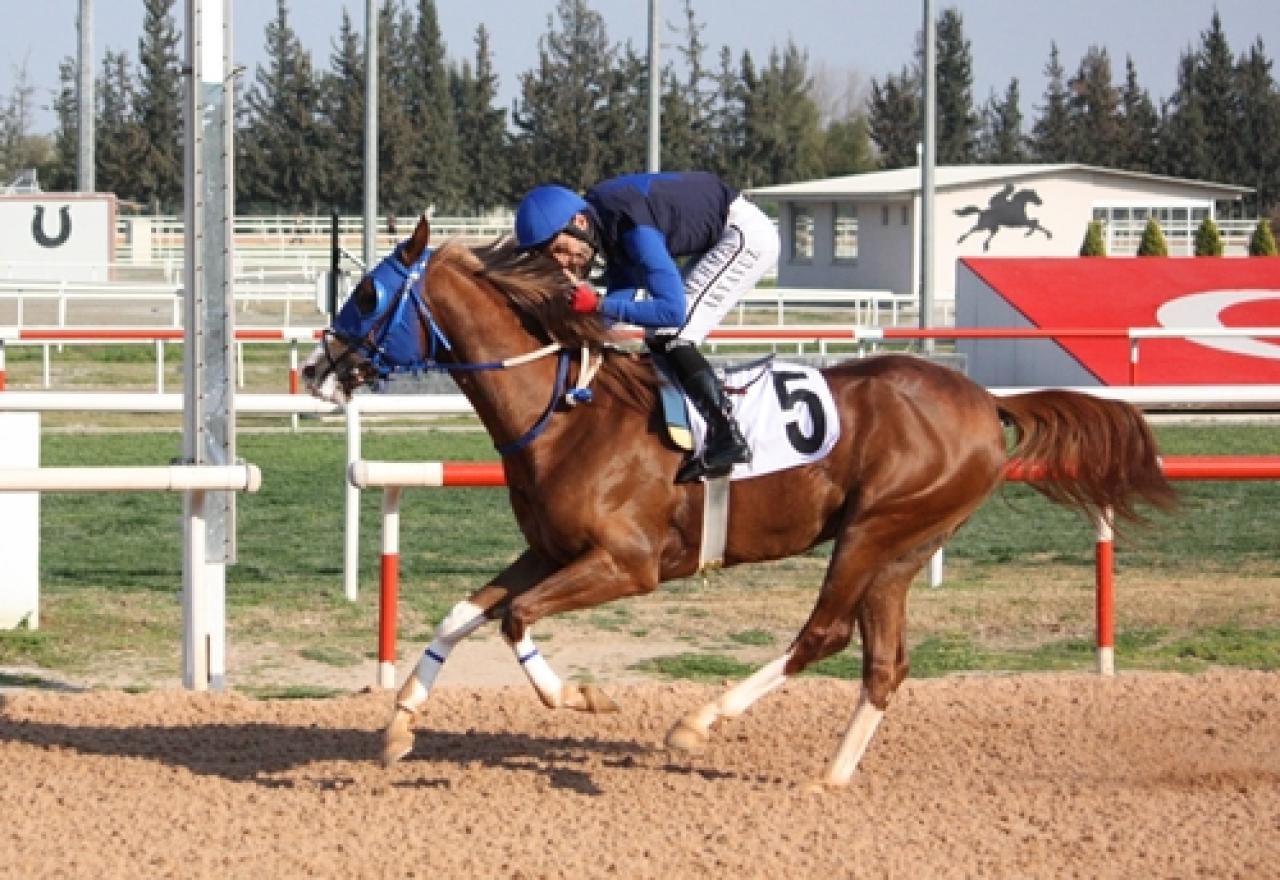 Adana Vali Koşusu’nda zafer Kuzgun Bey’in oldu
