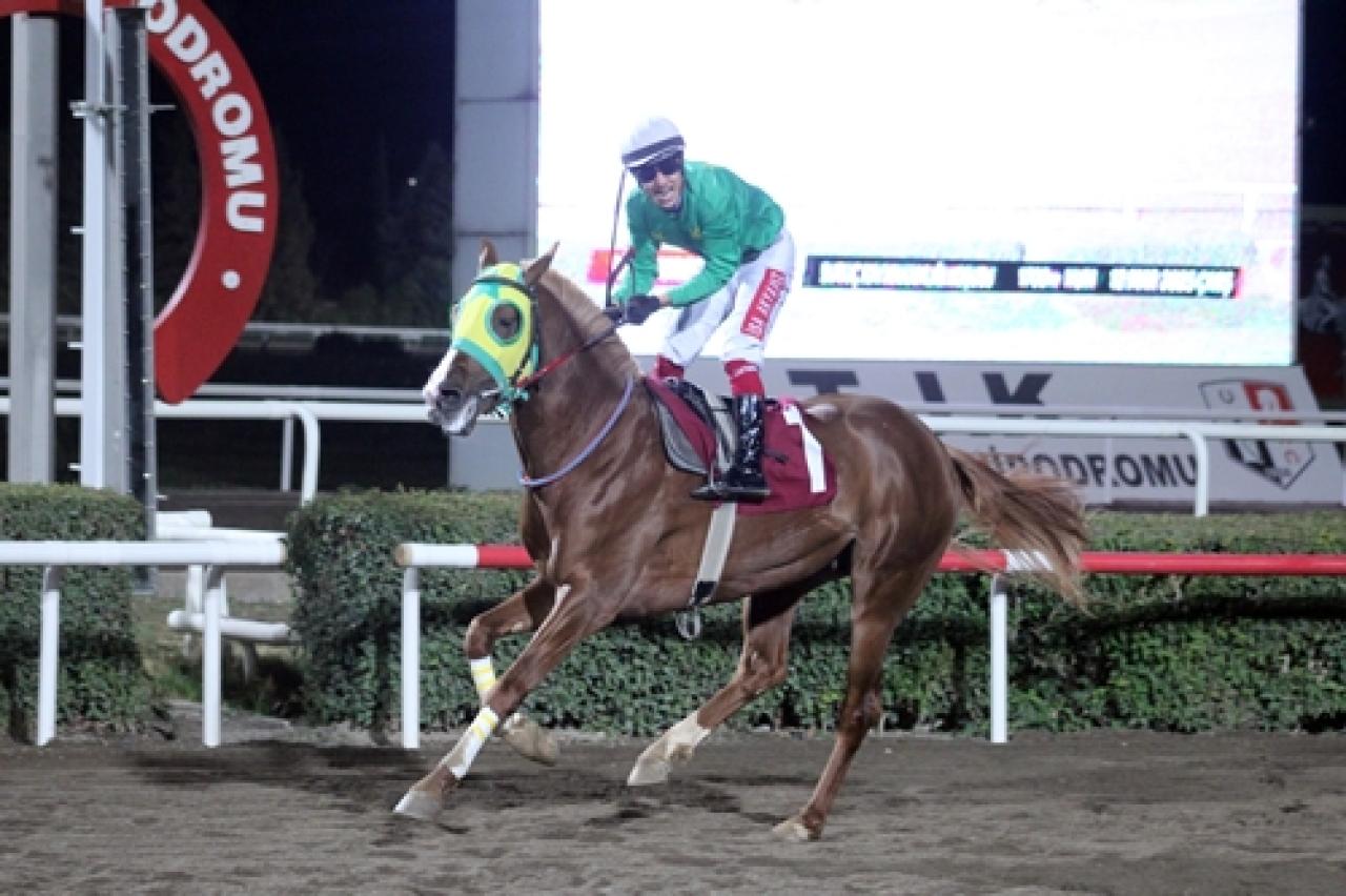 Suruç Kaymakamlığı Koşusu’nu Sanpman kazandı