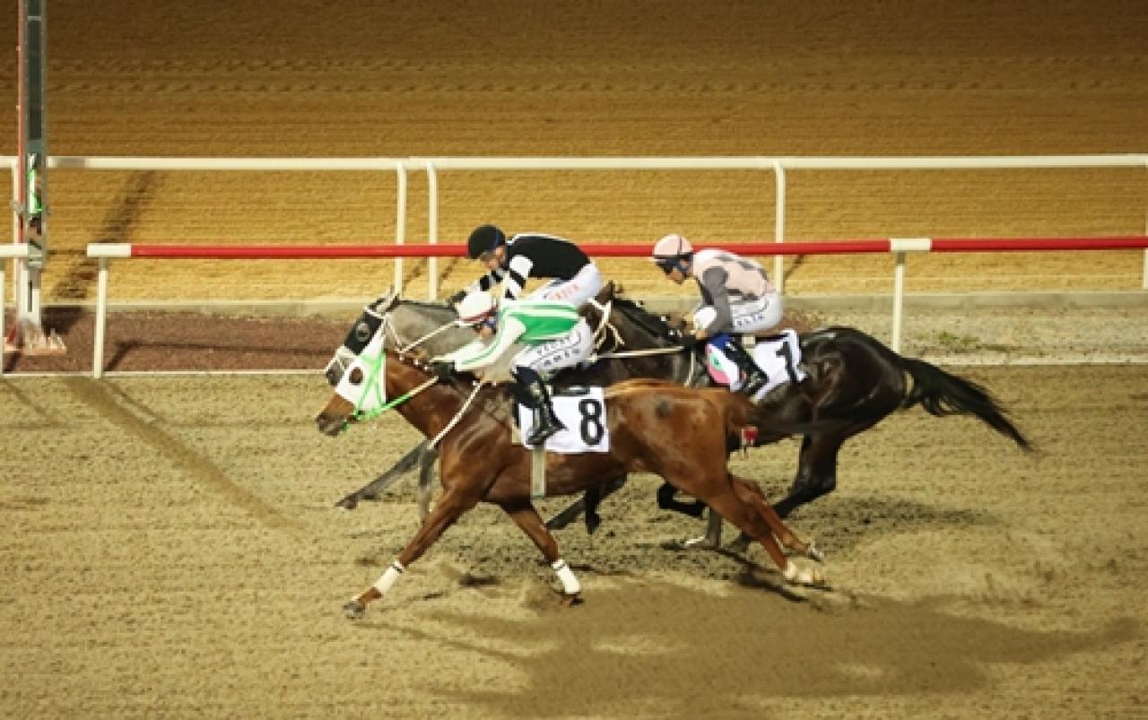 Antalya Büyükşehir Belediye Başkanlığı Koşusu'nda kazanan Tonbi