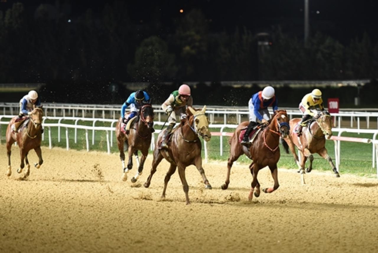 Osman Kapani Koşusu'nda kazanan Dragon Pulse oldu