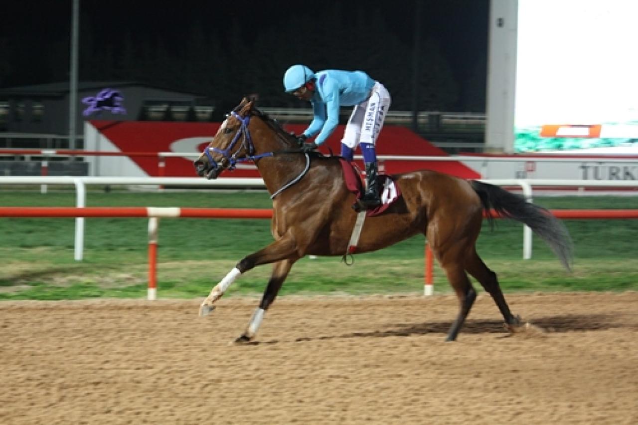 Kemal Özekici Koşusu’nda birinciliğe Prenses Sylvester uzandı