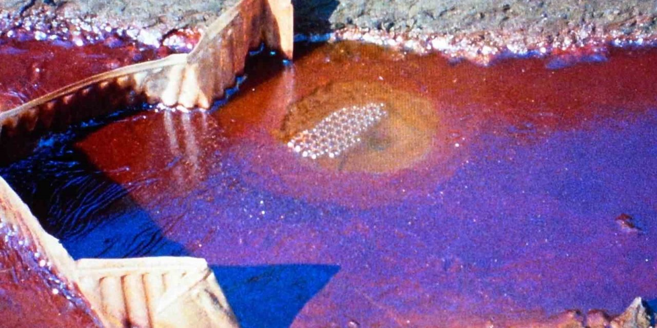 "BU SON ŞANSIMIZ MI?" GÖSTERİM PROGRAMI SALT BEYOĞLU’NDA GERÇEKLEŞTİRİLECEK