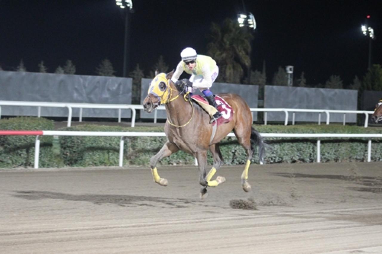 Şanlıurfa Veteriner Hekimler Odası Koşusu'nu Doğantürkbeyi kazandı
