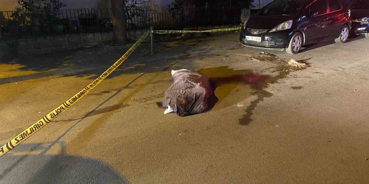 KADIKÖY’DE ÇÖP KAMYONUNUN ALTINDA KALAN YAŞLI KADIN HAYATINI KAYBETTİ