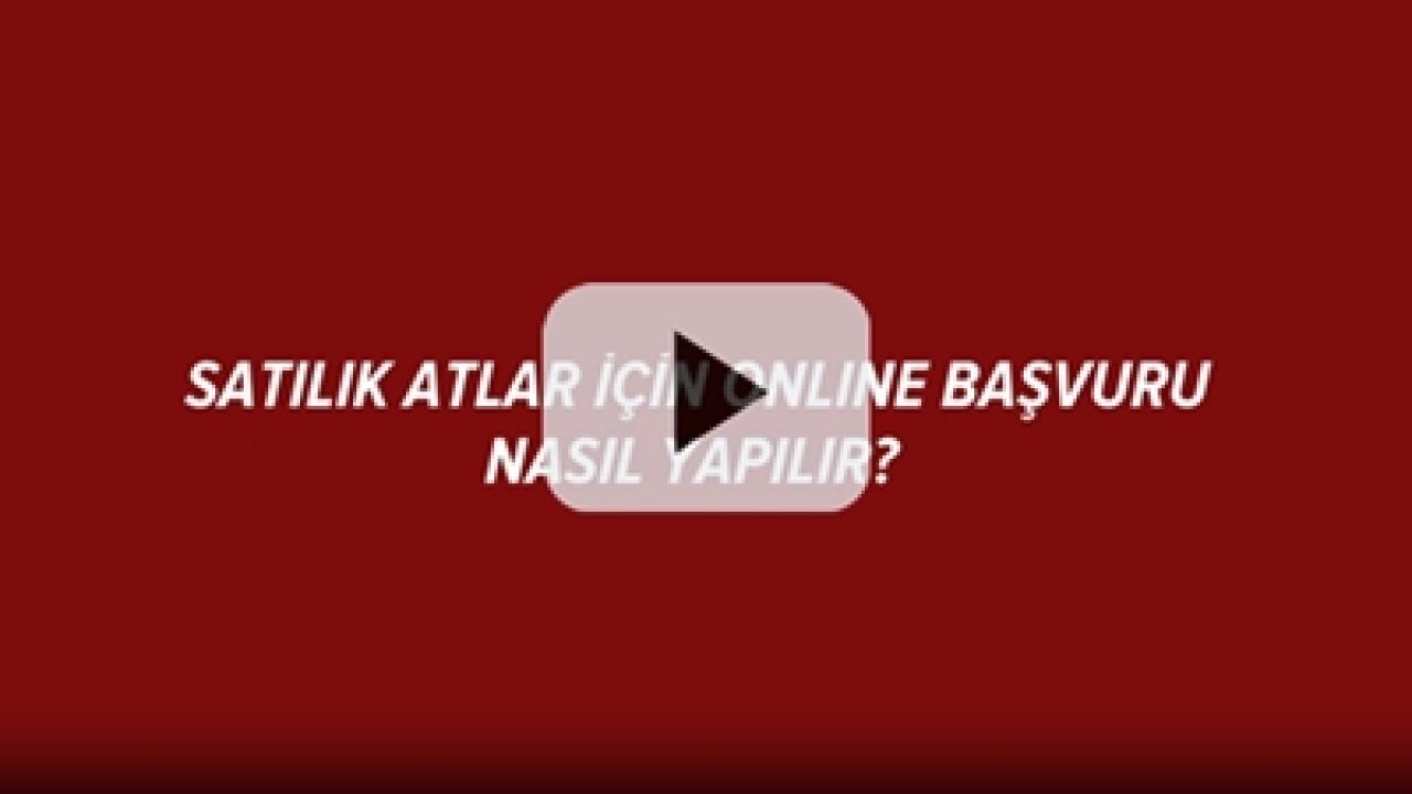 Satılık atlara online başvuru nasıl yapılır