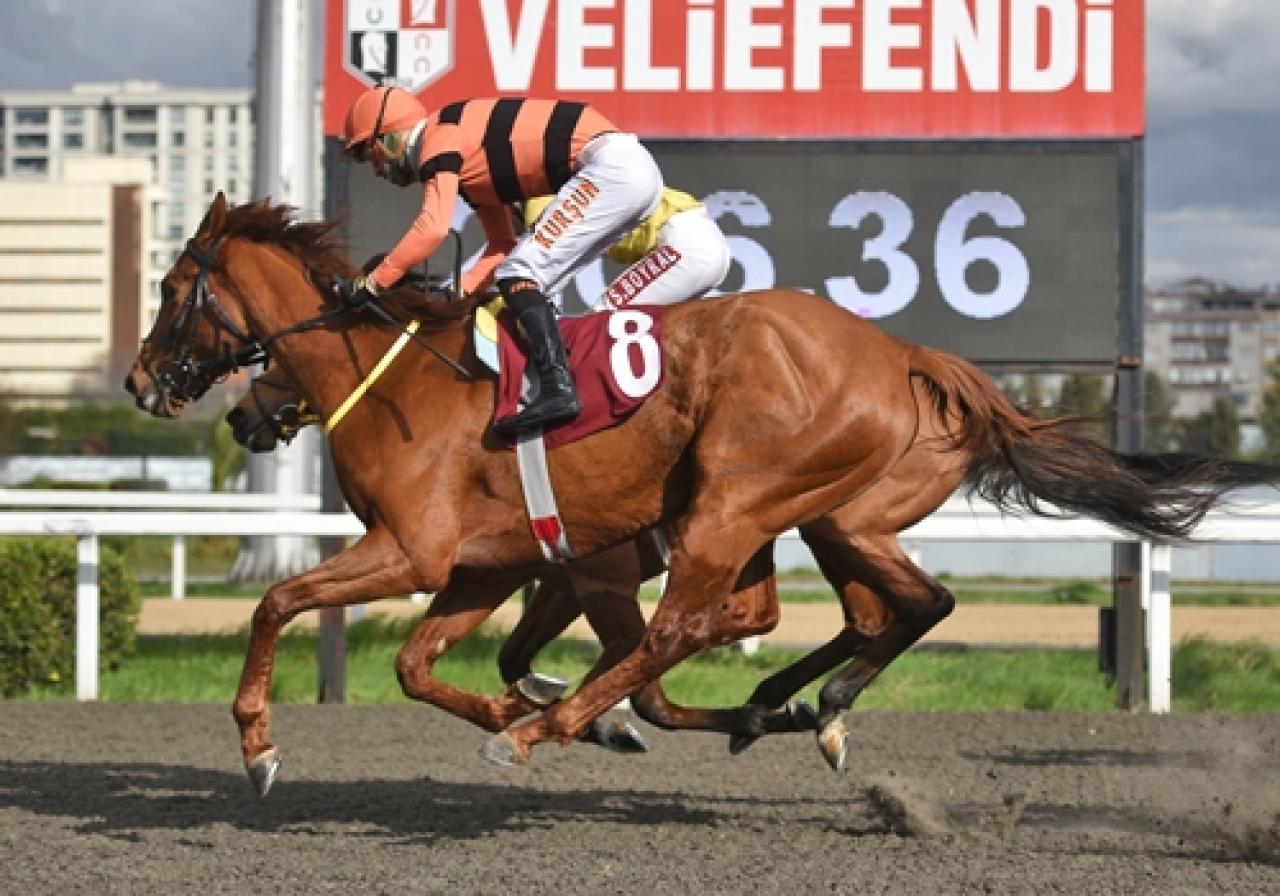 Nuri Midillili Koşusu’nda kazanan Queen Büşra oldu