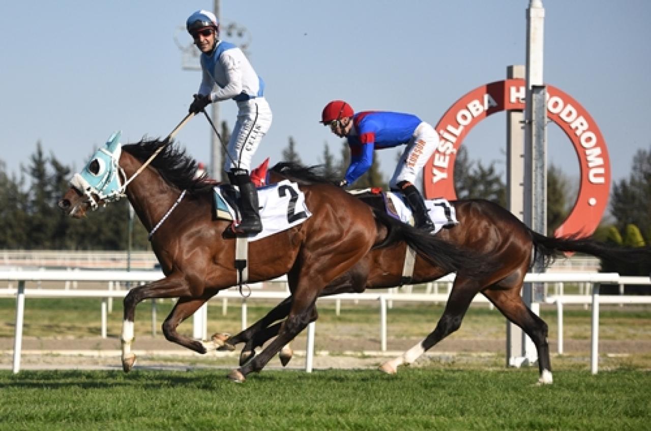 Tendürek Koşusu’nda zafere Cutha ulaştı