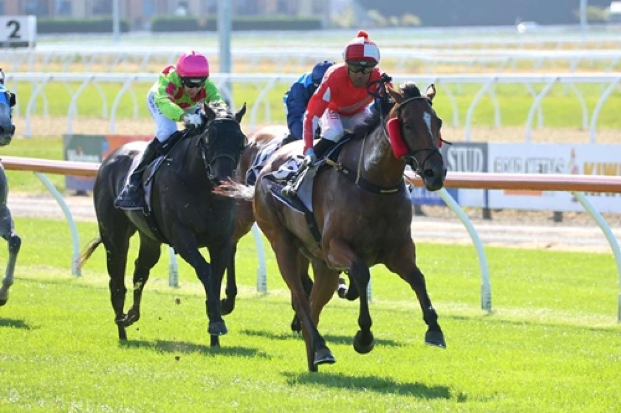Epaulette temsilcisi Epee Beel'den Grup koşu galibiyeti