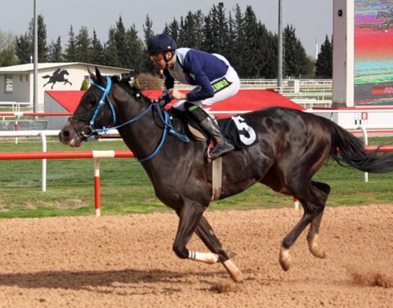 Sarıçam Belediye Başkanlığı Koşusu’nu Speed Lane kazandı