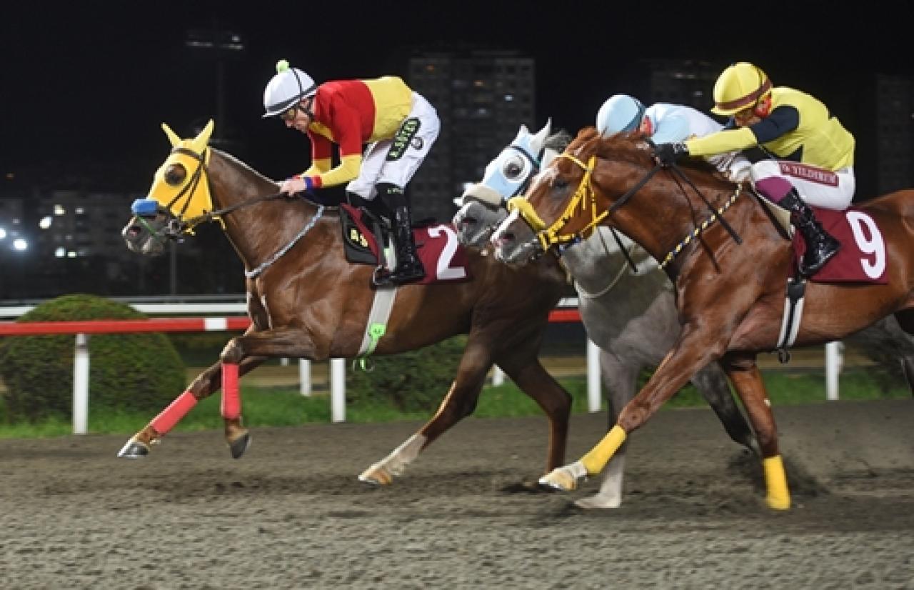 Tünkut Aksungur Koşusu’nda galibiyete ulaşan Afşar oldu