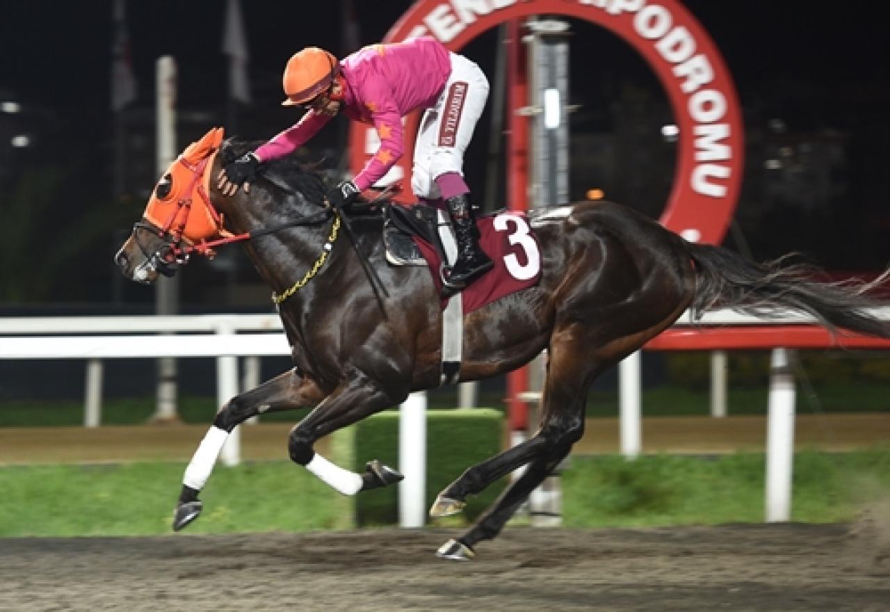 Mustafa Alver Koşusu’nu Attalos kazandı