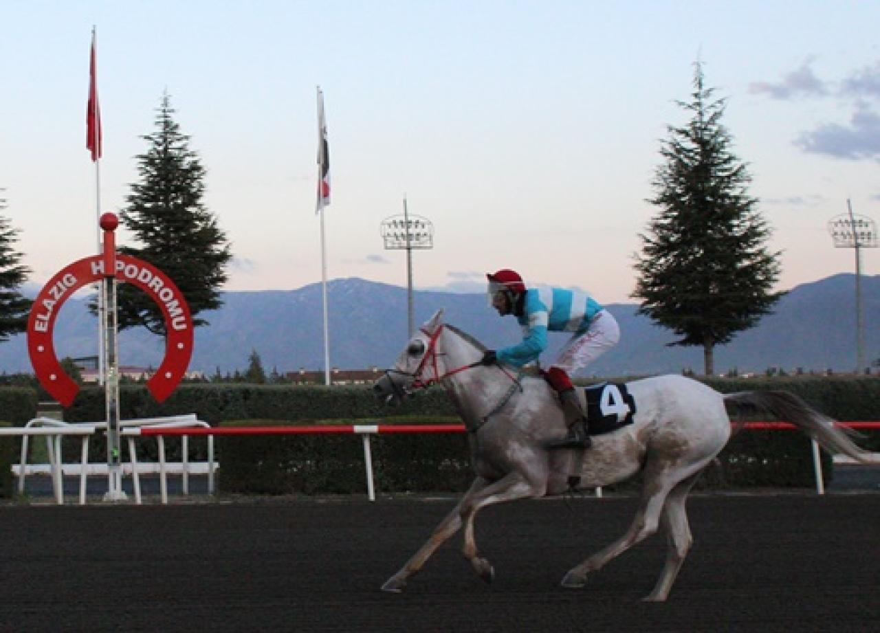 Elazığ'da ilkbahar - yaz yarış sezonu başladı