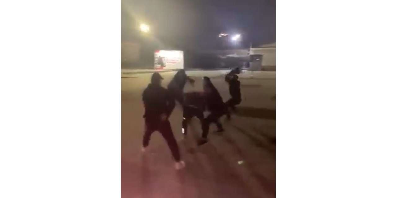 PARKTA TEK TEKER ŞOV YAPAN ŞAHIS VATANDAŞLAR TARAFINDAN TEKME TOKAT DÖVÜLDÜ