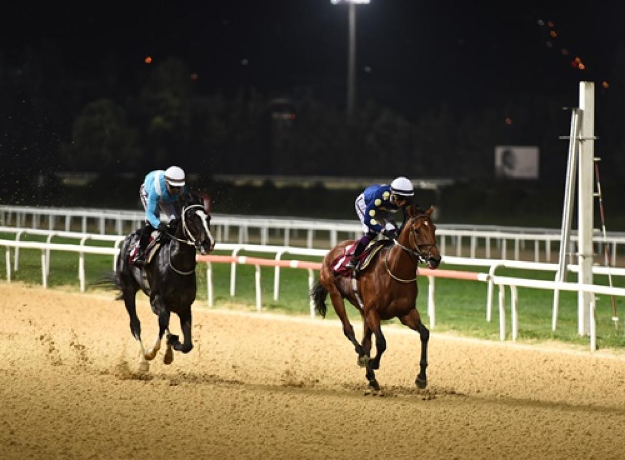 Buca Belediye Başkanlığı Koşusu'nu Drowzee kazandı