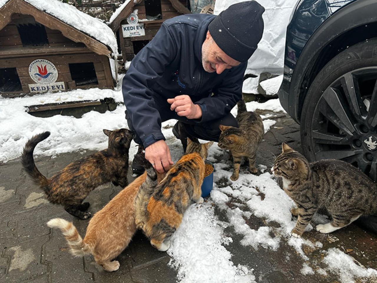 KÂĞITHANE’DE BİR YILDA 10 BİN 882 CAN DOST REHABİLİTE EDİLDİ