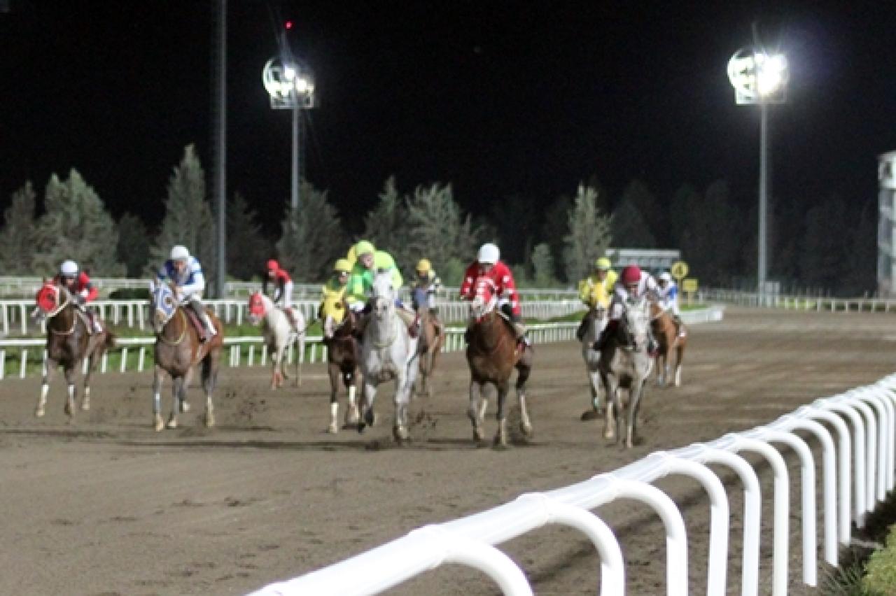 Şanlıurfa'nın Kurtuluşu Koşusu'nda kazanan Hedbe