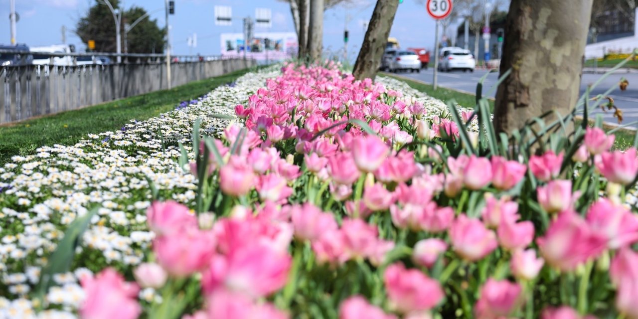 SULTANGAZİ’NİN CADDE VE SOKAKLARINA BAHAR GELDİ