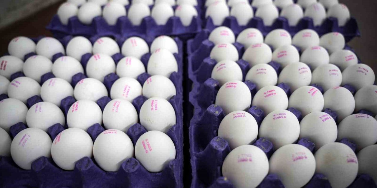 "TÜM TÜRKİYE’YE YETECEK KADAR YUMURTAMIZ VAR"