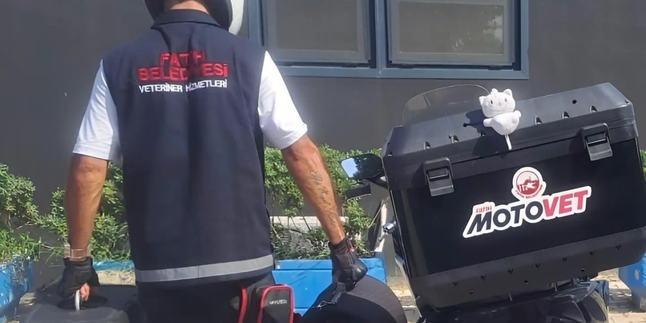 FATİH BELEDİYESİ’NDEN DOĞAYA CAN: MOTOVET EKİBİ YARALI KANATLILARI HAYATA KAZANDIRIYOR