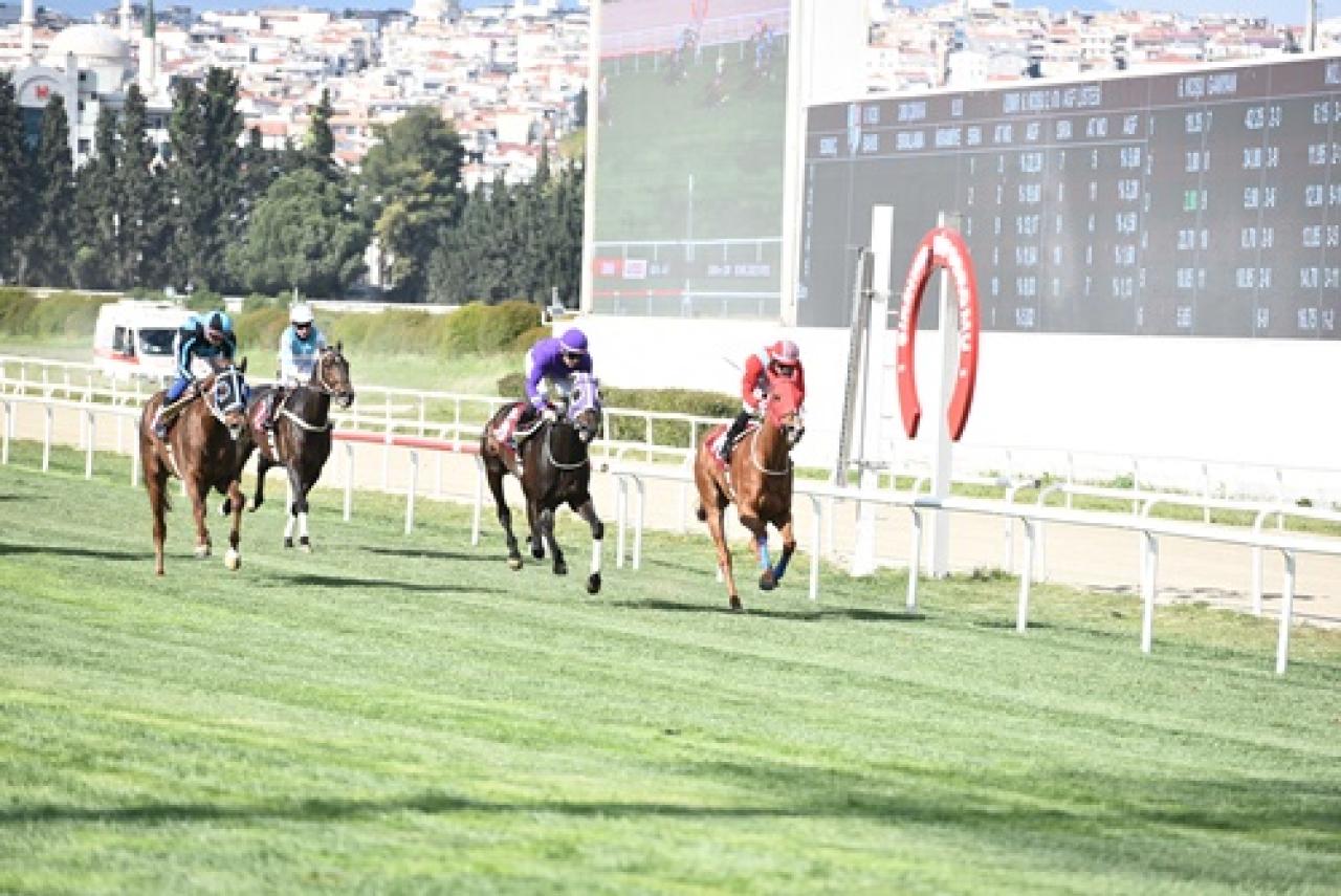 TSYD İzmir Şubesi Koşusu'nu Birdwood kazandı