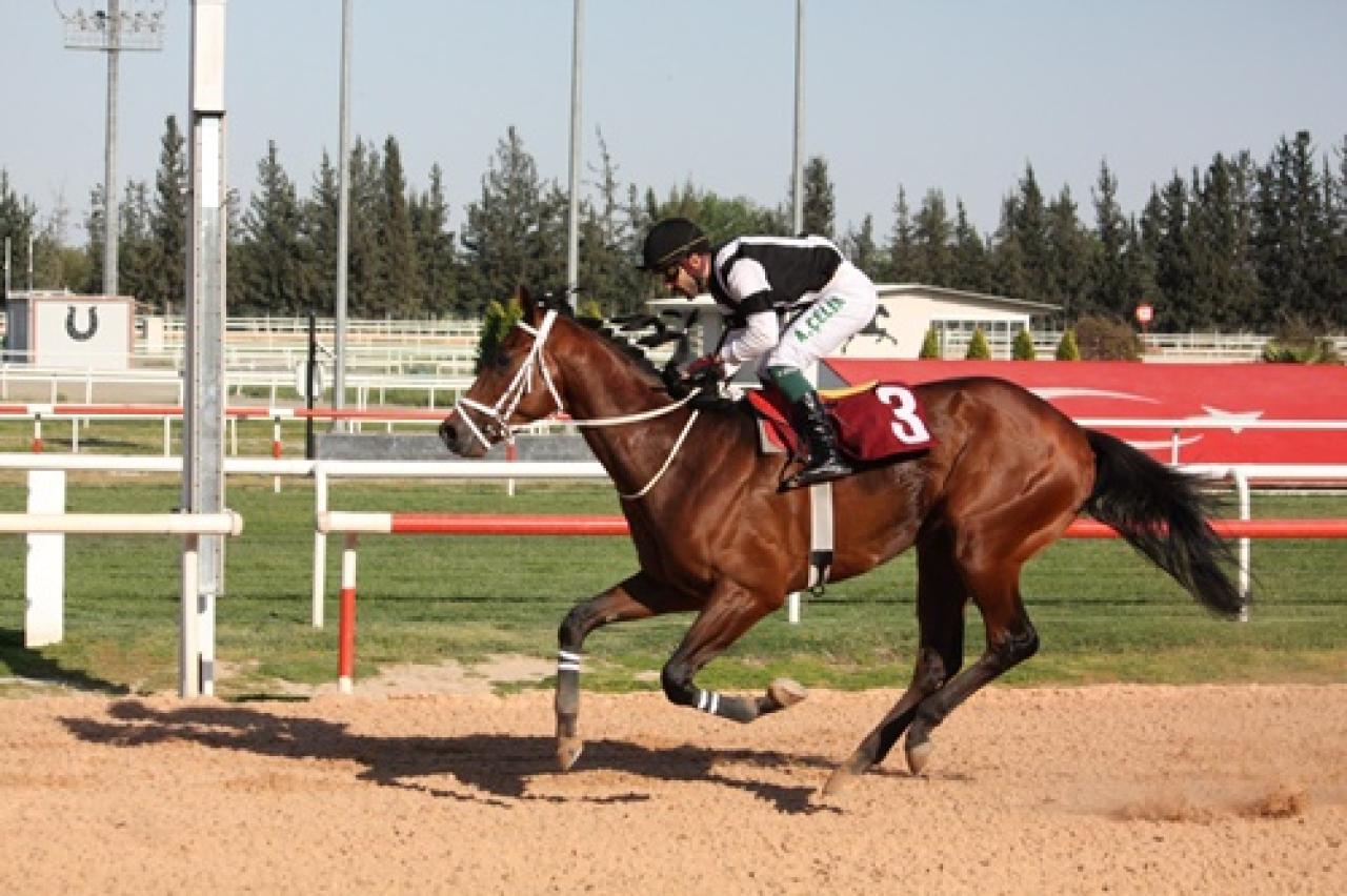 Ali Rıza Ongun Koşusu'nu Frou Frou kazandı