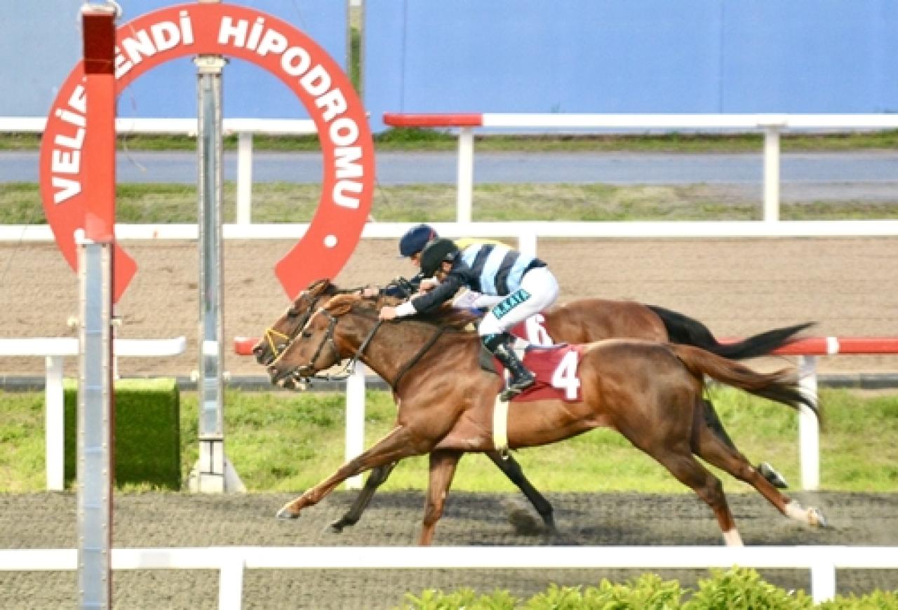 Dr. Ergon Mengi Koşusu'nda galibiyete ulaşan Brave The Storm oldu