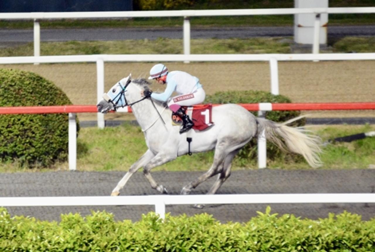 Türk Kalp Vakfı Koşusu’nda birinciliğe Eraykan uzandı