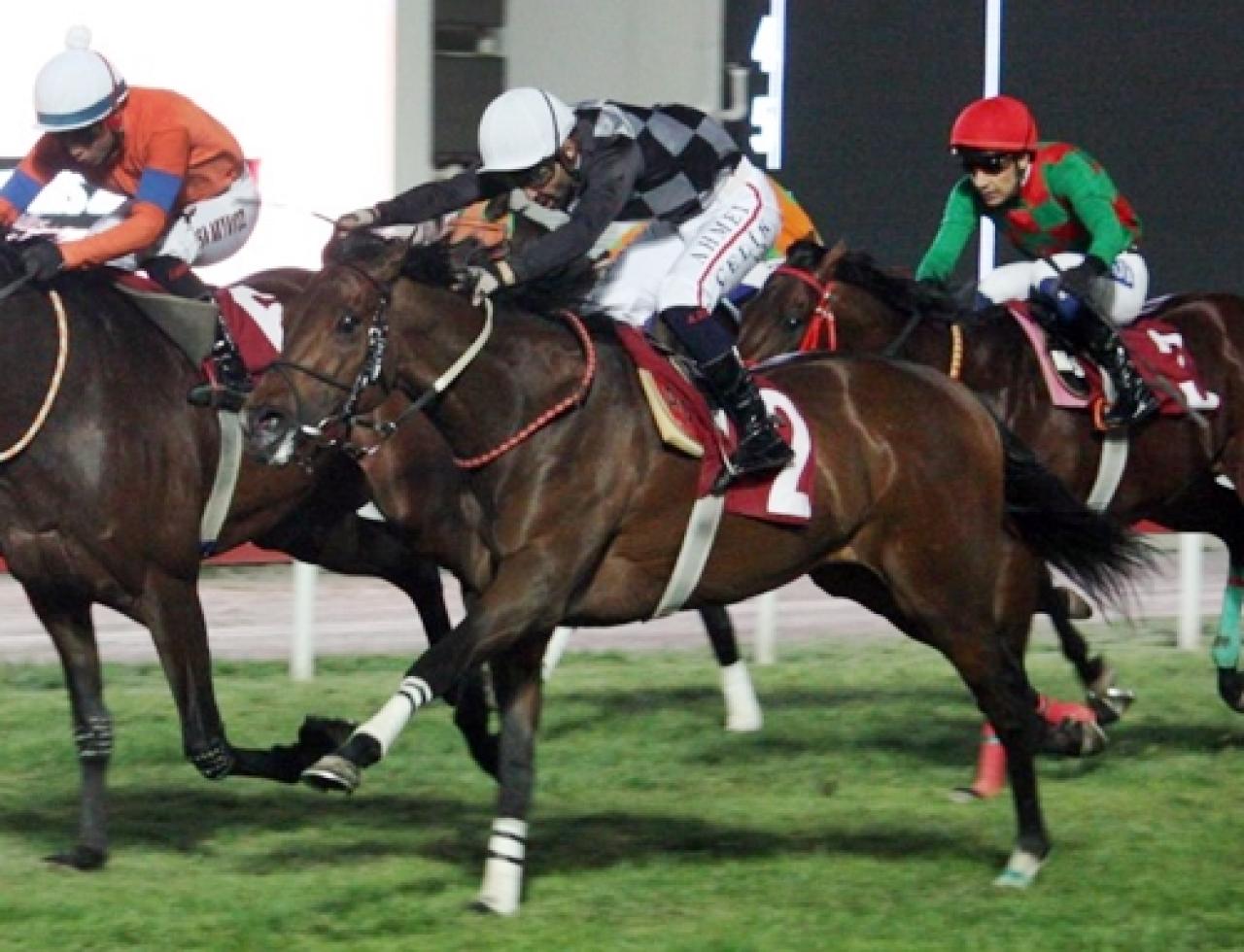 Adana Emniyet Müdürlüğü Koşusu'nu Head Vorker kazandı