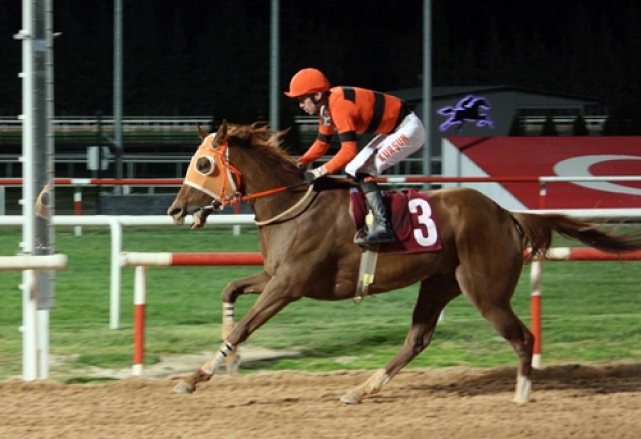 TEMA Vakfı Koşusu’nda galibiyete ulaşan Shinny oldu