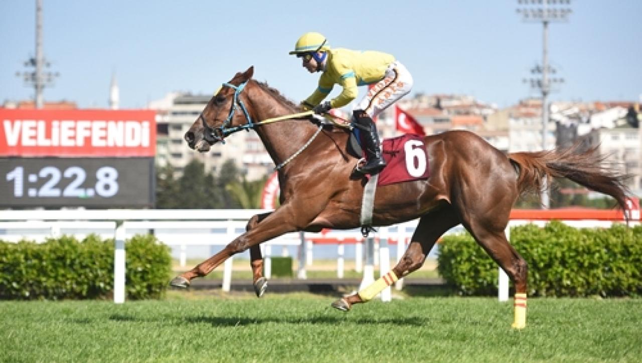 Serbest Handikap Orhan Meker Koşusu’nu Special Man kazandı