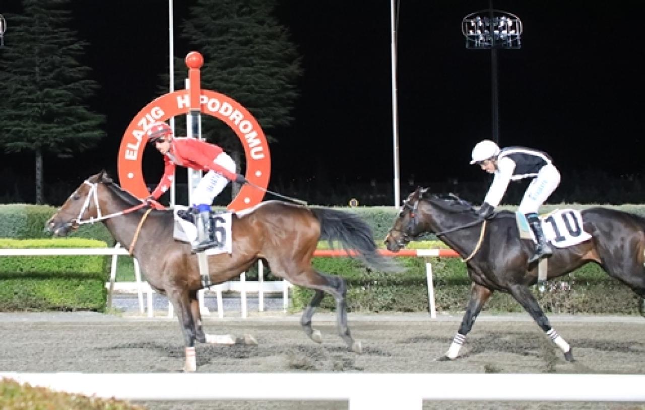 Elazığ Belediye Başkanlığı Koşusu’nda galibiyete uzanan Wictory Drop oldu