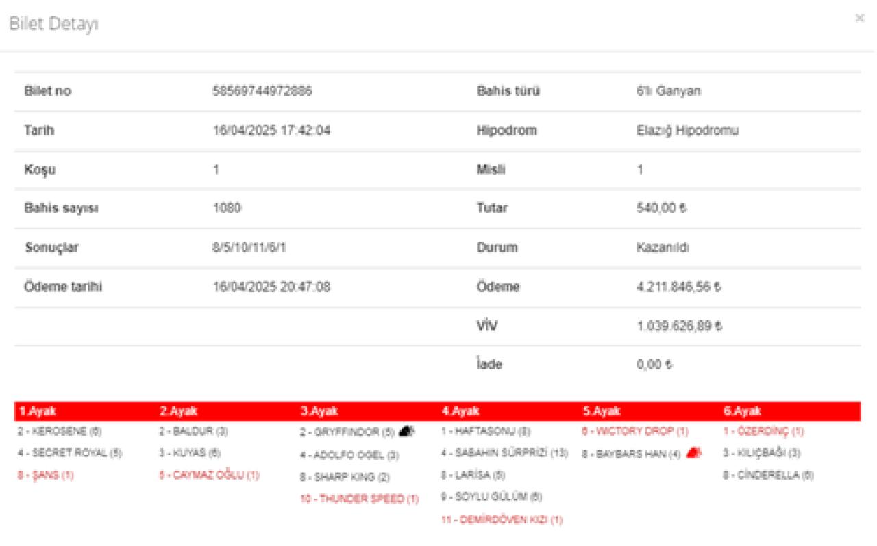 Elazığ’da 1. 6’lı Ganyan’ı 1 kişi bildi