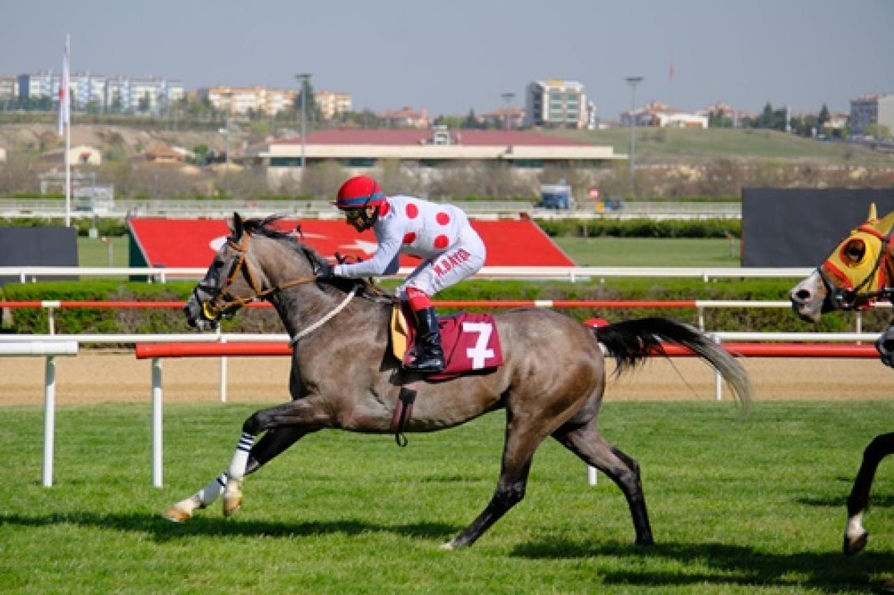 Serbest Handikap Cevdet Karataş Koşusu'nu Fırtına Bey kazandı