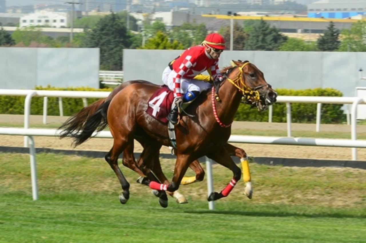 Bursa Emniyet Müdürlüğü Koşusu'nda kazanan Notting Hill oldu