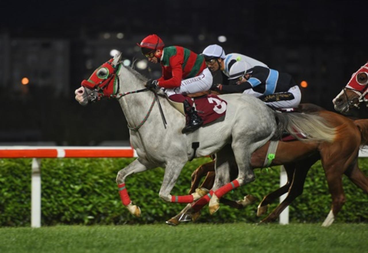 Attila Midillili Koşusu'nda kazanan Gürbüz Tay oldu