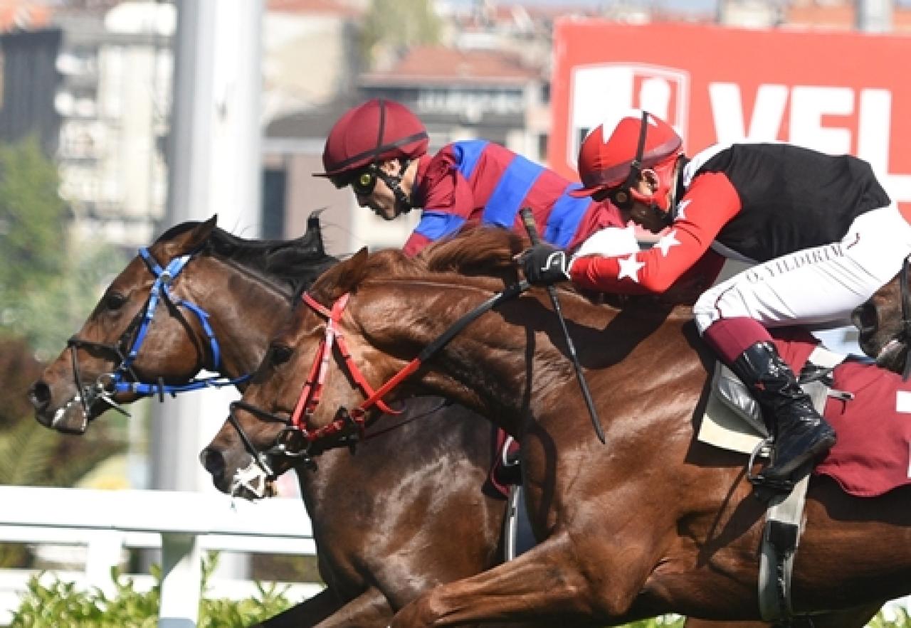 Tevfik Çelikoğlu Koşusu'nda birinciliğe Purosangue uzandı