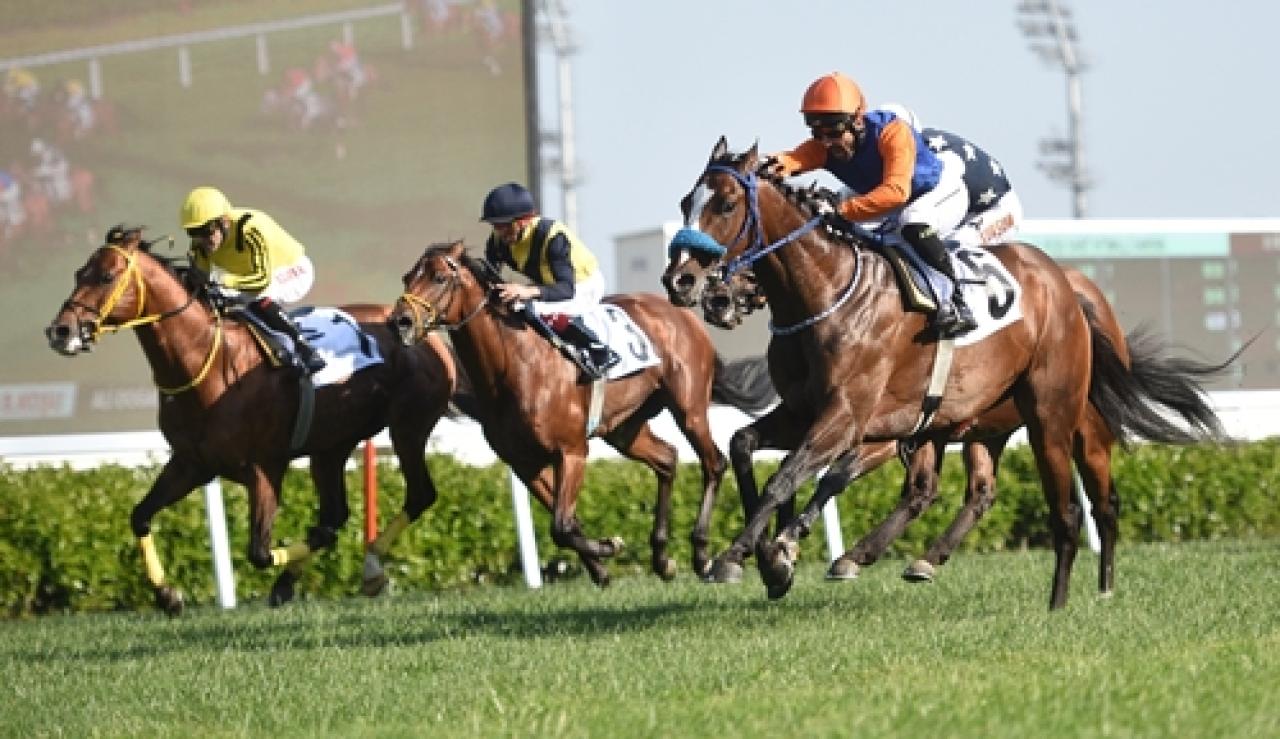 Ali Doğan Ünlü Koşusu’nda zafere uzanan Son Of Cooger oldu