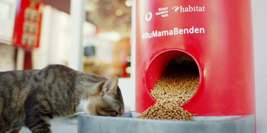 Dikkat! Bu Makineler Tweet ile Hayvanlara Mama Veriyor