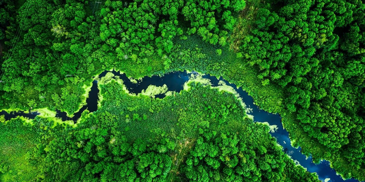 L’ORÉAL’İN 200 MİLYON EUROLUK FONLARI TÜRK SİVİL TOPLUM KURULUŞLARINI BEKLİYOR